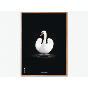 BRAINCHILD Plakat- Hvid svane 30*40 cm